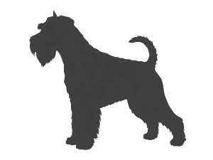 knirac-velky-silueta.jpg